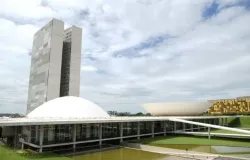 Congresso Mais Forte e Independente na Elei��o de 2026