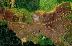 Novo prazo para o 'RG' da fazenda: entenda as mudan�as no georreferenciamento