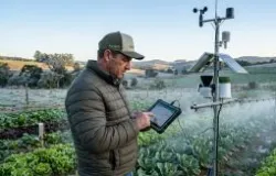 Tecnologia no campo protege safra de inverno e evita alta nos pre�os de frutas e verduras