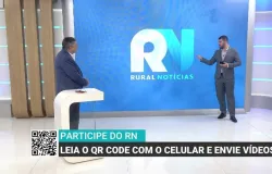Seca e calor devem atingir o Nordeste at� novembro