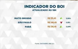 Boi gordo atinge pre�os acima de R$ 330 no Brasil