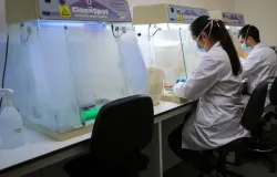 Bact�rias da boca e do intestino podem estar ligadas a tra�os de psicopatia, diz estudo