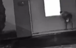 Pedagoga abalada ap�s ass�dio sexual em condom�nio na Bahia
