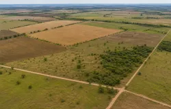 Governo cria dois assentamentos em Campos dos Goytacazes e beneficia 95 fam�lias
