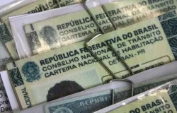 C�mara aprova cassar CNH de quem usar carro para abandonar animais na rua