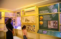 Planeta Inseto: exposi��o gratuita na zona sul de S�o Paulo encanta visitantes