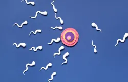 10 maneiras naturais de melhorar a qualidade do esperma