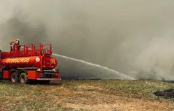 Mato Grosso enfrenta 12 inc�ndios ativos e registra 142 focos de calor em um dia