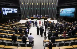 INSS: projeto na C�mara pode devolver pens�o por morte de 100%