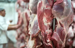 Carne de Mato Grosso � vendida para 88 pa�ses e fatura US$ 2,4 bilh�es