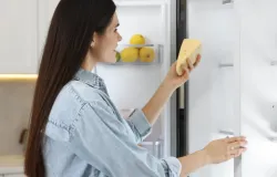 Erro comum na geladeira acelera o apodrecimento do queijo