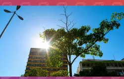 Calor de quase 40�C castiga passageiros em esta��es sem ar-condicionado em Cuiab�