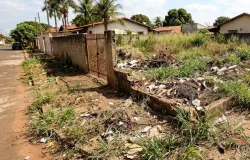 Multas de at� R$ 13,5 mil para quem n�o limpar terreno em Campo Grande