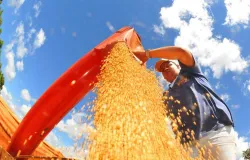 Economia brasileira cai 0,6% em junho, mostra Banco Central