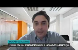 Pre�o alto dos bezerros pede planejamento na reprodu��o