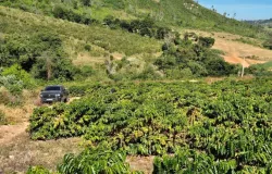 Agro cresce em junho enquanto economia brasileira cai