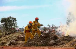 Onda de calor em SP: veja orienta��es para produtores rurais