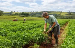 Agricultura regenerativa: o futuro do campo sustent�vel
