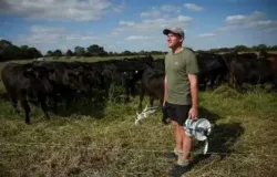 Calor extremo obriga agricultura do Reino Unido a mudar