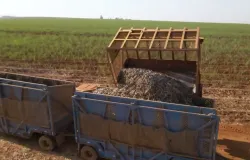 Empresas do agroneg�cio t�m at� 31 para declarar investimentos e pagar menos impostos
