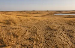 Ind�genas exigem participa��o real nas negocia��es da COP17 em Mong�lia
