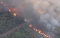 DF enfrenta seca severa e inc�ndios aumentam muito em agosto