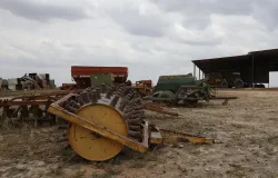 Governo facilita renegocia��o de d�vidas rurais