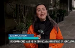 Federarroz denuncia fraudes na classifica��o do arroz no Brasil