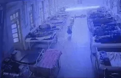 Cachorro roubou bolsa com joias avaliadas em R$ 21 mil em hospital na �ndia