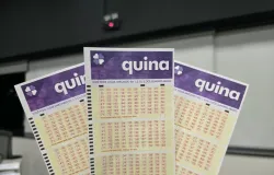 Quina 7102: ningu�m acerta 5 n�meros, mas 36 apostadores levam mais de R$ 8 mil