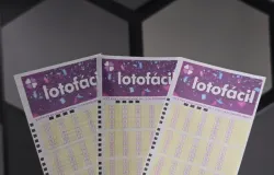 Lotof�cil 3772: pr�mio de R$ 2 milh�es n�o saiu, mas 295 apostadores levaram R$ 1.369 cada