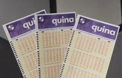 Quina 7102: Veja os n�meros sorteados e o pr�mio de R$ 2,6 milh�es