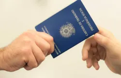 IBGE aponta recorde de empregos com carteira assinada no setor privado
