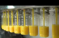 Pre�o da laranja cai 75% em quase dois anos, impactando mercado