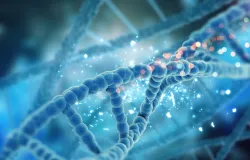 DNA pode ajudar a identificar doen�as no futuro, mas debate sobre privacidade ganha for�a