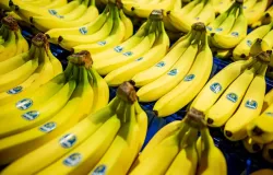 Alimentos que aliviam refluxo e azia: veja as melhores op��es