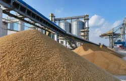 Exporta��es do agro dos EUA devem crescer US$ 7 bilh�es em 2027