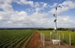 Produtores de Mato Grosso ganham novo sistema do Inmet para planejar a lavoura