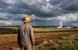 Radar Rural: o que o agro espera do pr�ximo presidente?