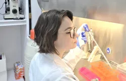 Entenda o estudo que prop�e alternativa mais segura para reposi��o hormonal na menopausa