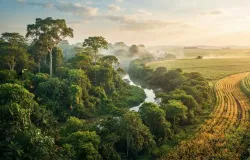 Caminho sustent�vel une produ��o e preserva��o no campo