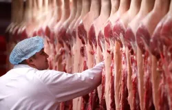 Bloco europeu corta importa��o de carne, ovos e mel do Brasil por uso de antibi�ticos; perda pode chegar a US$ 2 bilh�es