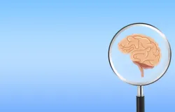 Neurologista alerta: Ultraprocessados enganam consumidores e prejudicam o c�rebro
