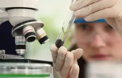 Mulheres e meninas cientistas podem se inscrever em pr�mio at� outubro
