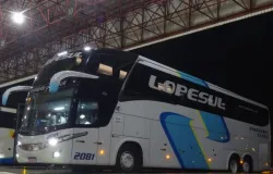 ANTT barra empresa de �nibus do Mato Grosso e cancela rotas para SP, RS e PR