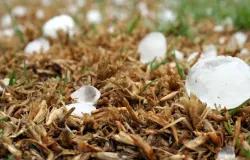 Tempestade com pedras de gelo quebra para-brisa e amea�a criar tornados no interior de S�o Paulo