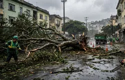 Vento forte derruba �rvores e fecha ruas importantes do Rio de Janeiro
