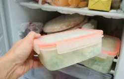 6 erros comuns ao congelar e descongelar alimentos que amea�am sua sa�de