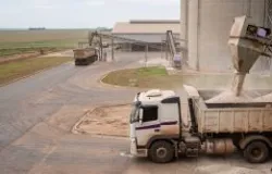Brasil importou 93% dos fertilizantes e pagou mais caro em 2026: veja como dados ajudam o produtor