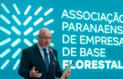 Entidade do Paran� leva setor florestal a debate global sobre a madeira e o futuro da ind�stria em Curitiba